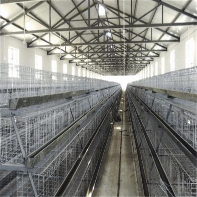 驻马店市蛋鸡养殖笼 三层阶梯式蛋鸡笼厂家