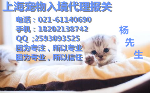 上海宠物报关公司、上海宠物猫/宠物狗进口报关、上海机场宠物报关