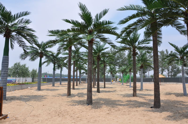 仿真椰子树   北京仿真椰子树厂家     仿真椰子树报价