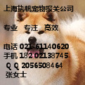猫狗宠物上海进口报关