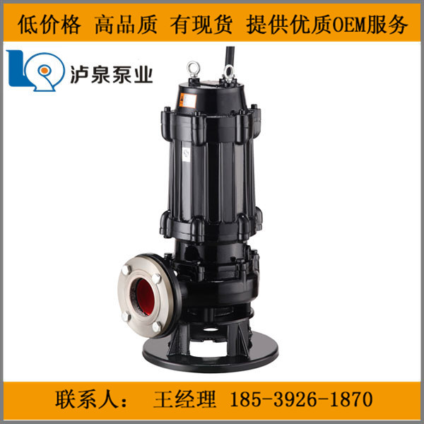 郑州污水泵  污水泵知名品牌