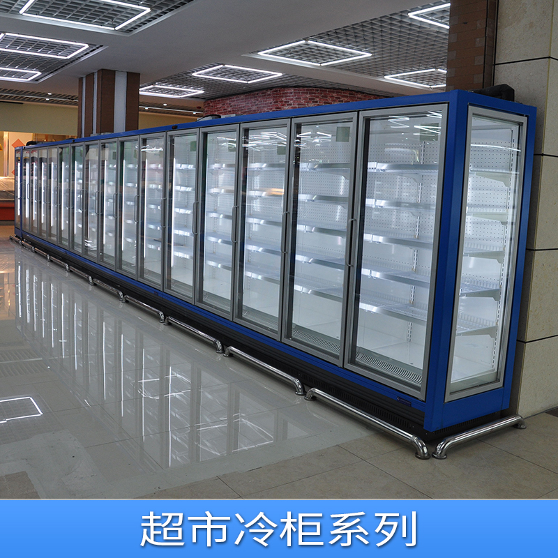 超市冷柜系列饺子低温柜 火锅食品冷冻柜 包子冷藏柜 雪糕柜厂家直销