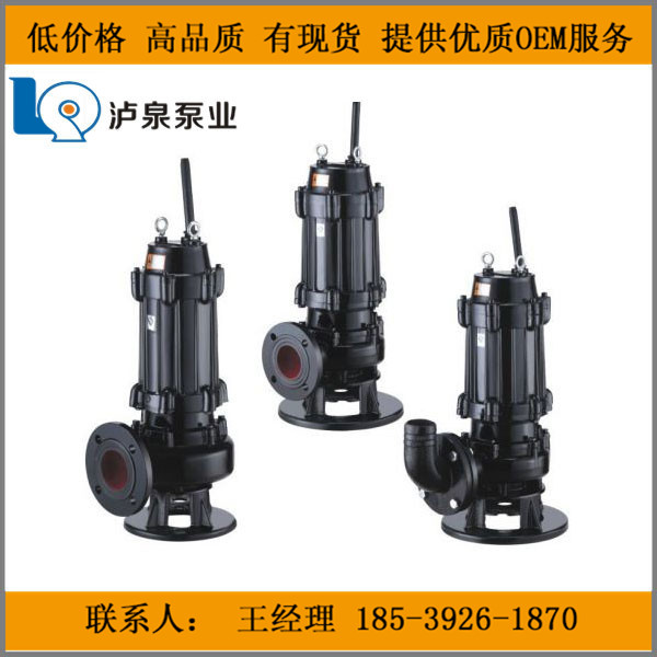 郑州污水泵  污水泵知名品牌