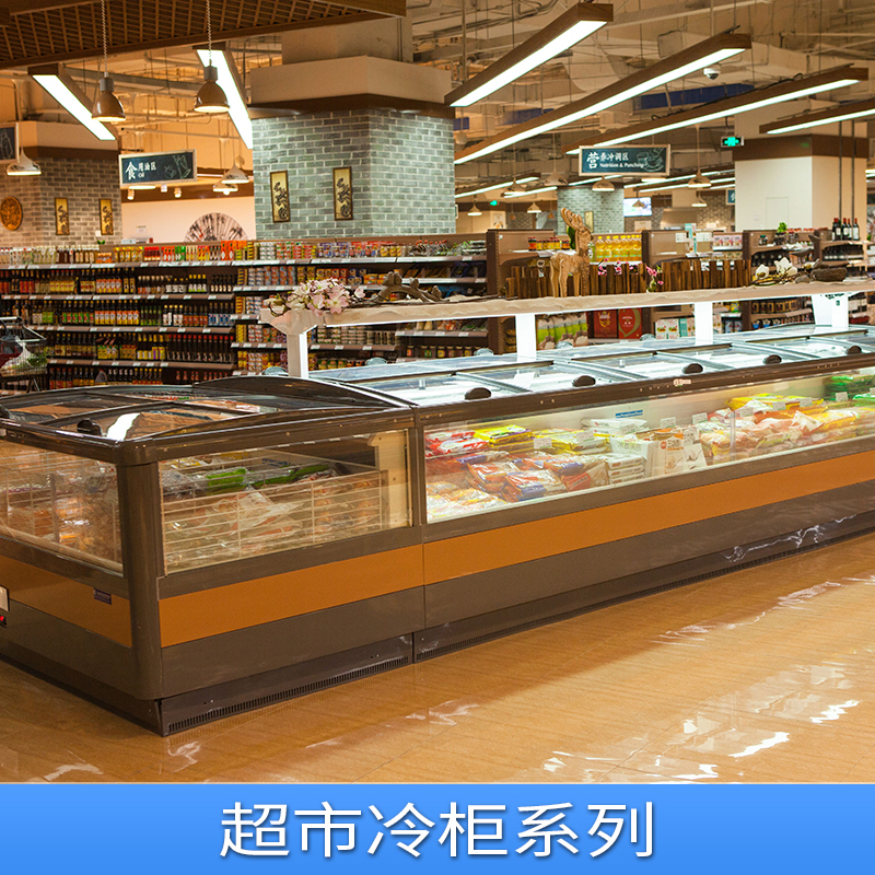超市冷柜系列饺子低温柜 火锅食品冷冻柜 包子冷藏柜 雪糕柜厂家直销