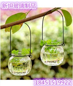 透明南瓜花瓶180ML透明玻璃 水养花卉 南瓜小吊花瓶 水培植物吊瓶