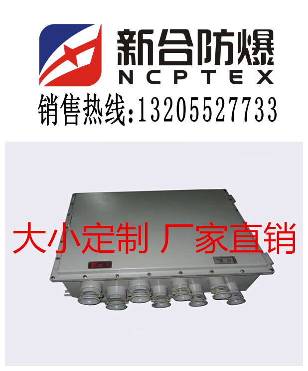 BXJ1防爆接线箱 厂家直销BXJ1防爆接线箱 厂家直销