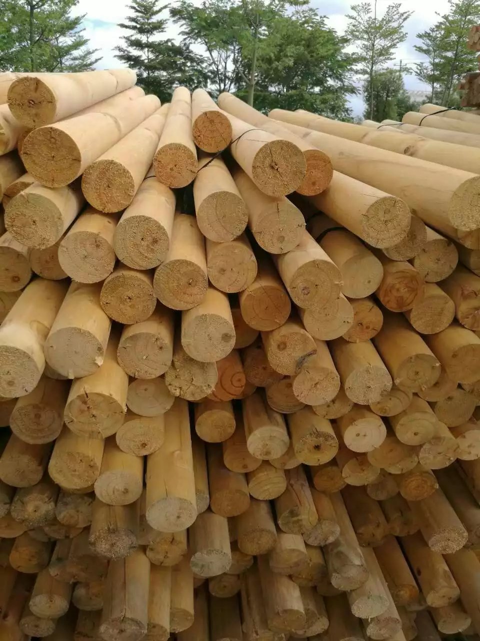 苗木支撑杆 松木绿化树支撑 松木轴子 松木柱子 松木木芯