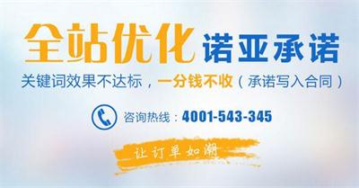 天津网站推广外包-天津网站推广外包诺亚科技