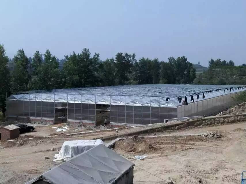 贵州阳光板连栋温室，pc板温室生产厂家