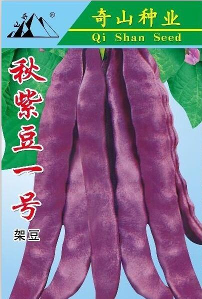 紫龙架豆种子紫龙架豆种子 ，种子公司批发，适宜试种成功地区春秋栽培，特色蔬菜
