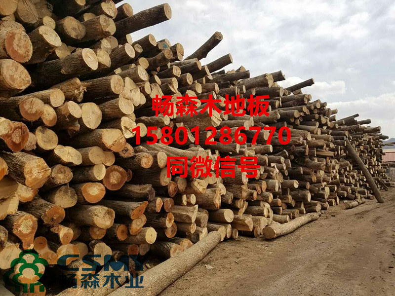 上海运动木地板厂家