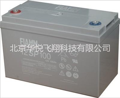 非凡蓄电池FIAMM12v100