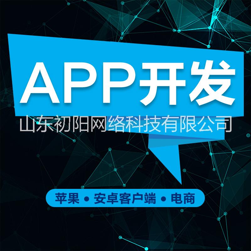 APP软件定制开发