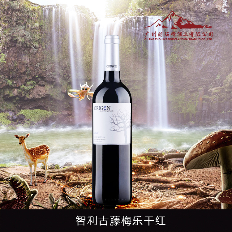 智利古藤梅乐干红葡萄酒图片