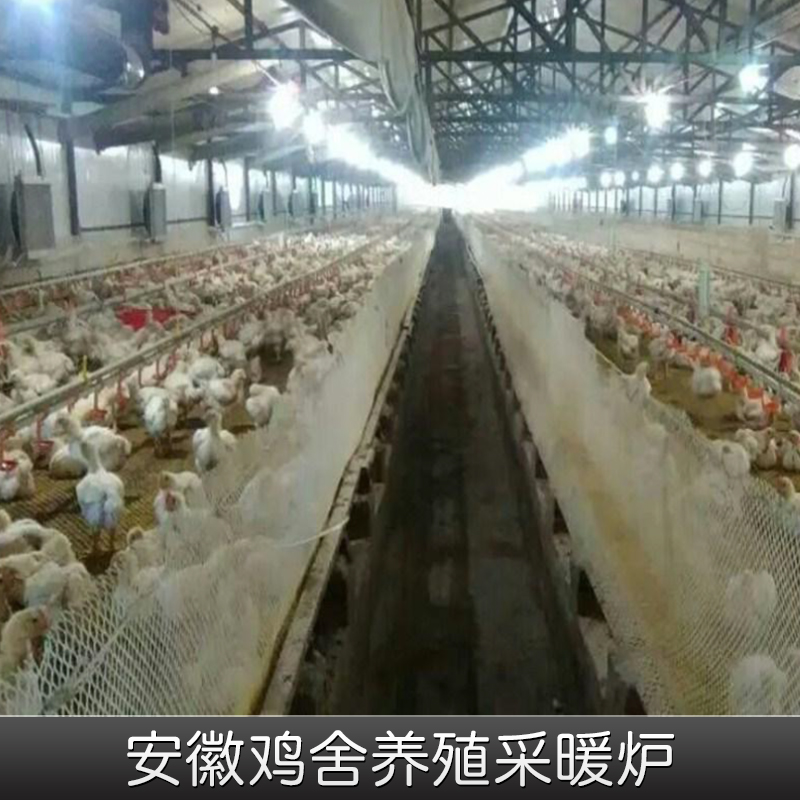 安徽鸡舍养殖采暖炉出售大卡水暖两用热风炉 小鸡育雏设备 厂家直销