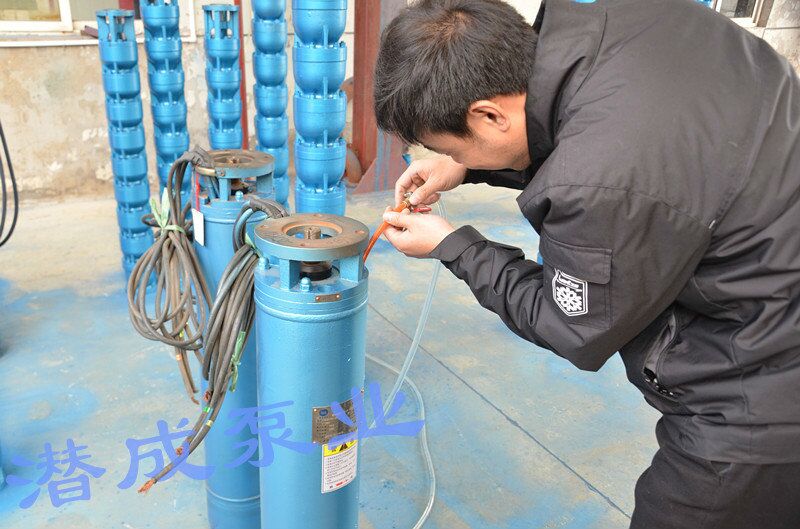 YQS150-25KW耐热泵电机结构|耐热泵电机系列|耐热泵电机维修|耐热泵电机功率