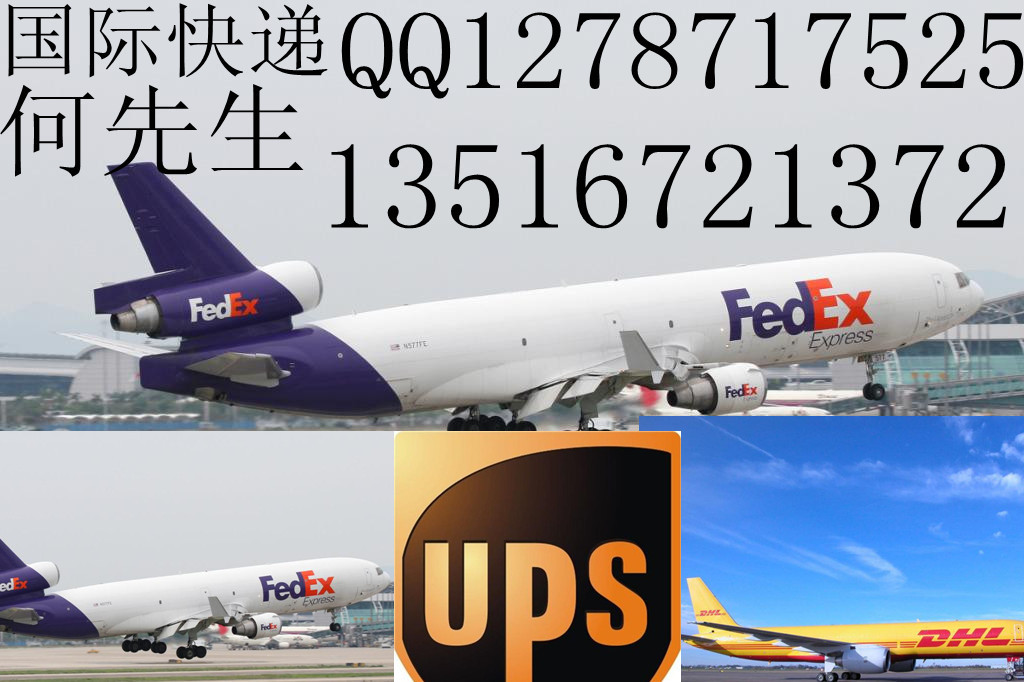 宁波国际快递DHL，UPS，电话