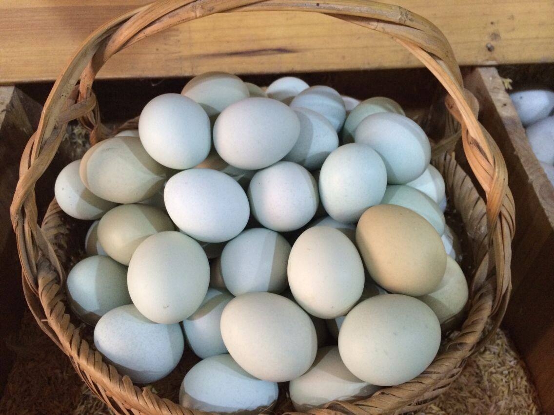 绿壳鸡蛋、土鸡蛋、鸭蛋图片