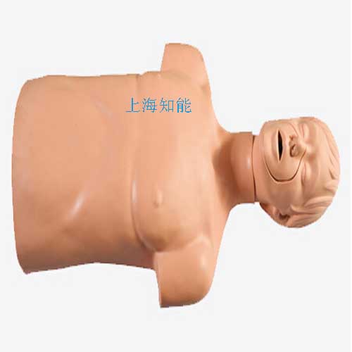 供应高级成人气道梗塞及CPR模型 半身心肺复苏模拟人