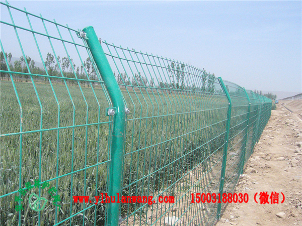 供应安平生产销售圈鸡网，塑料养殖网，养殖场围栏 圈地围网 养殖场圈地围栏