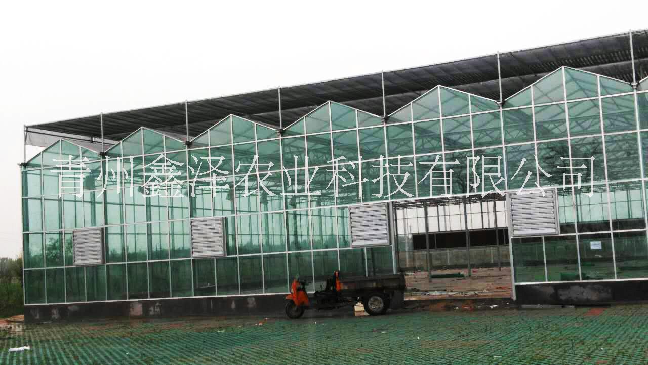玻璃温室的设计,青州鑫泽农业科技 花卉智能玻璃温室