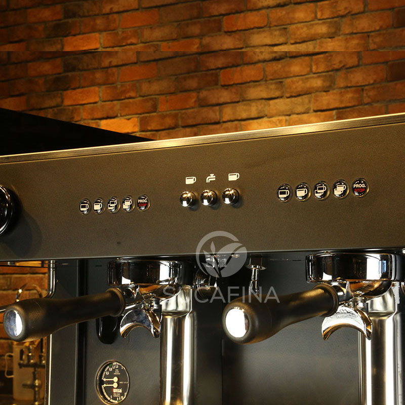 意大利WEGA半自动咖啡机pegaso E61毕加索 双头电控高杯商用意式
