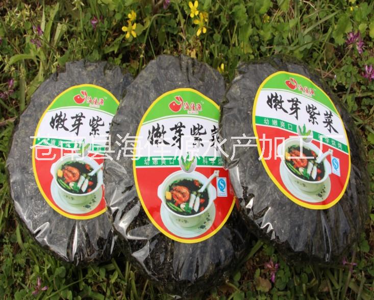 水产干货 “紫菜之乡”浙江苍南海佳源紫菜 50g*80（含调料）