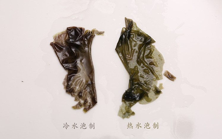 紫菜厂家 浙江苍南海佳源紫菜 厂家直销 价格实惠 包装二水紫菜40g