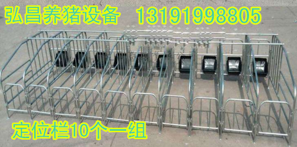 供应母猪保胎定位栏小猪限位栏河北养猪设备生产厂家电话13191998805