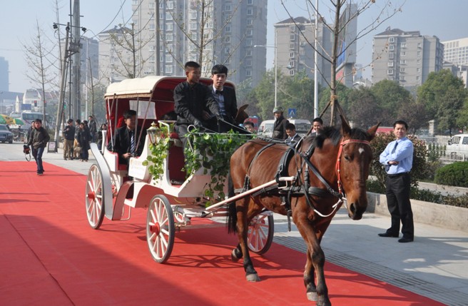 上海市欧式皇家马车厂家欧式皇家马车南瓜马车生产厂家婚礼庆典专用生产厂家出租价格