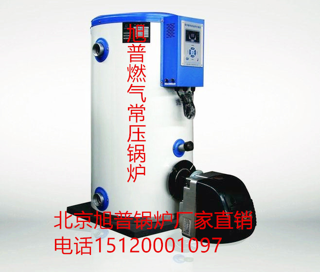 北京厂家直销大型低氮燃气锅炉低氮