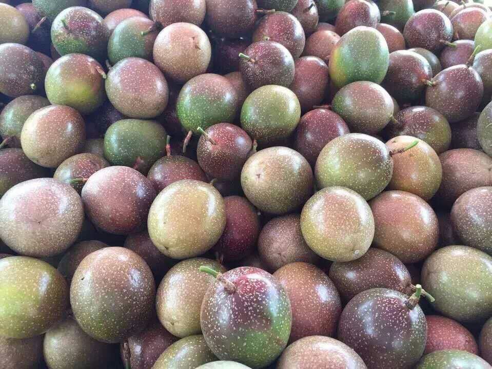 越南百香果 越南进口百香果产地直采鲜活快达 越南进口百香果图片