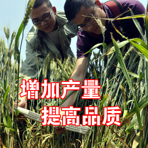 EM原液种植专用益生菌菌种生根防病微生物菌剂改良土壤营养液 EM农业种植原液