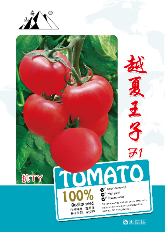 越夏王子F1抗TY番茄种子，盛琪蔬菜种子销售优质番茄种子，耐热图片