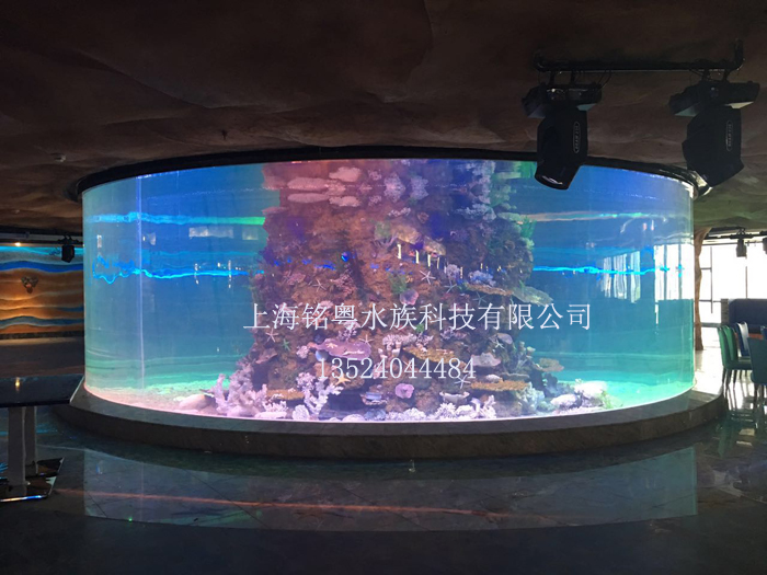 富阳鱼缸工厂承接大型亚克力水族箱 生态景观鱼缸改造布景