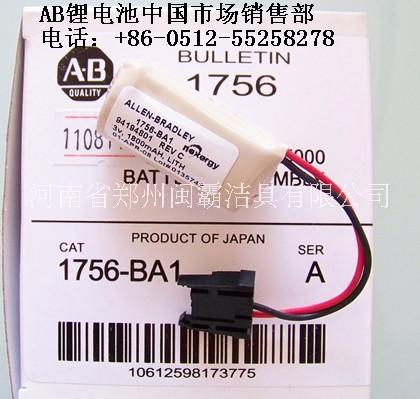 美国AB PLC专用电池