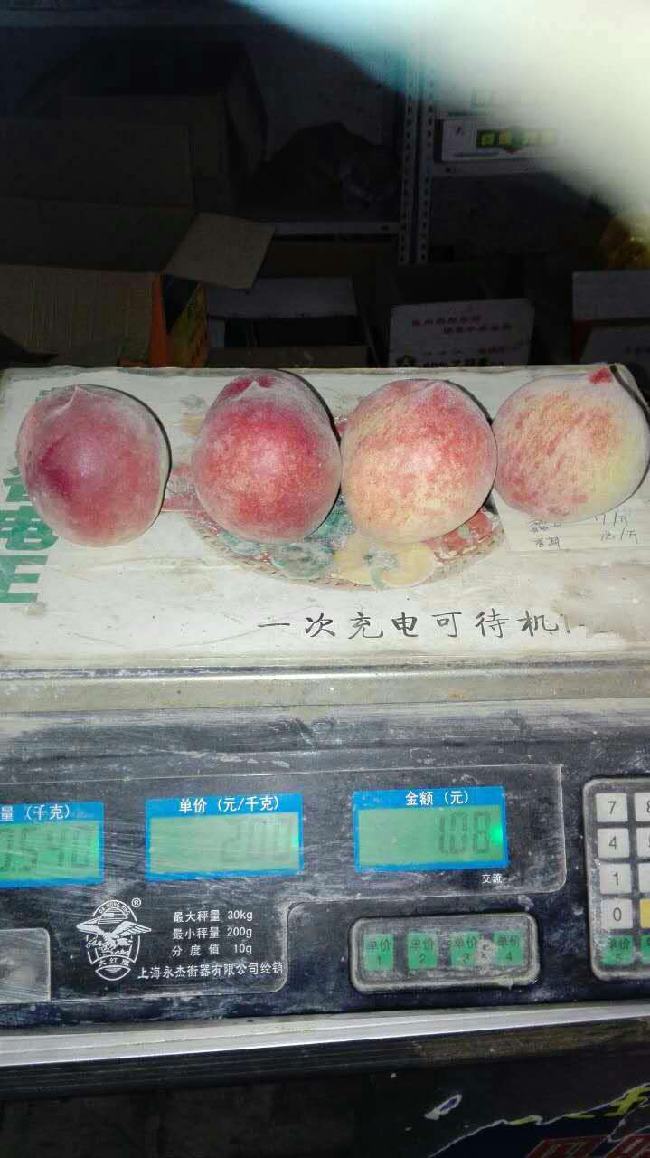 荆州新鲜水蜜桃 水蜜桃的营养价值   水蜜桃批发