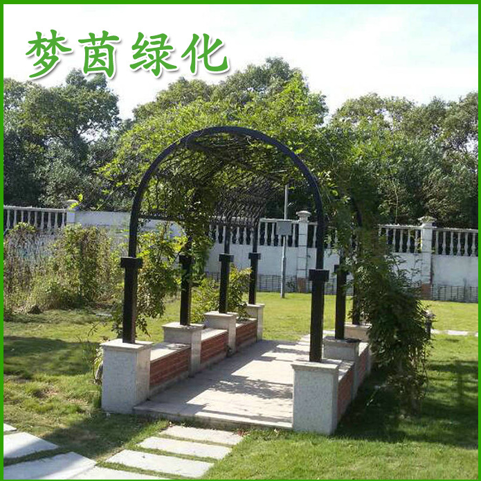 上海绿化景观供应商 批发绿化景观 园林公司提供绿化景观设计 别墅绿化设计 绿化施工 绿化养护厂家图片