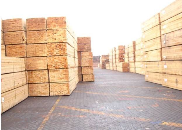 厦门进口原木材清关费用 俄罗斯原木材进口到厦门清关费用