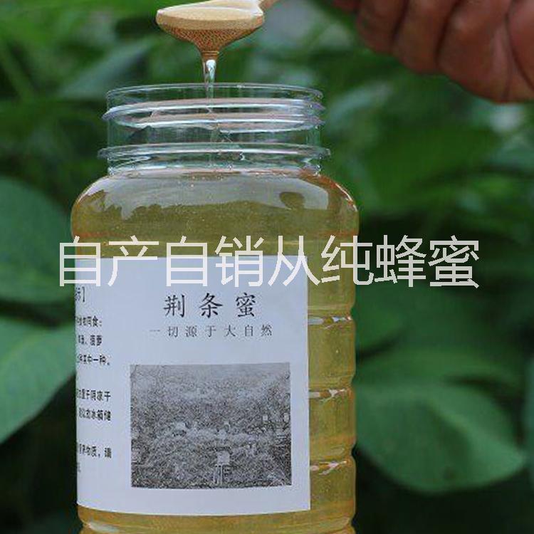 农家自产自销纯蜂蜜 荆条蜜厂家