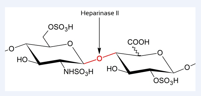 供应肝素酶II（heparinase II）