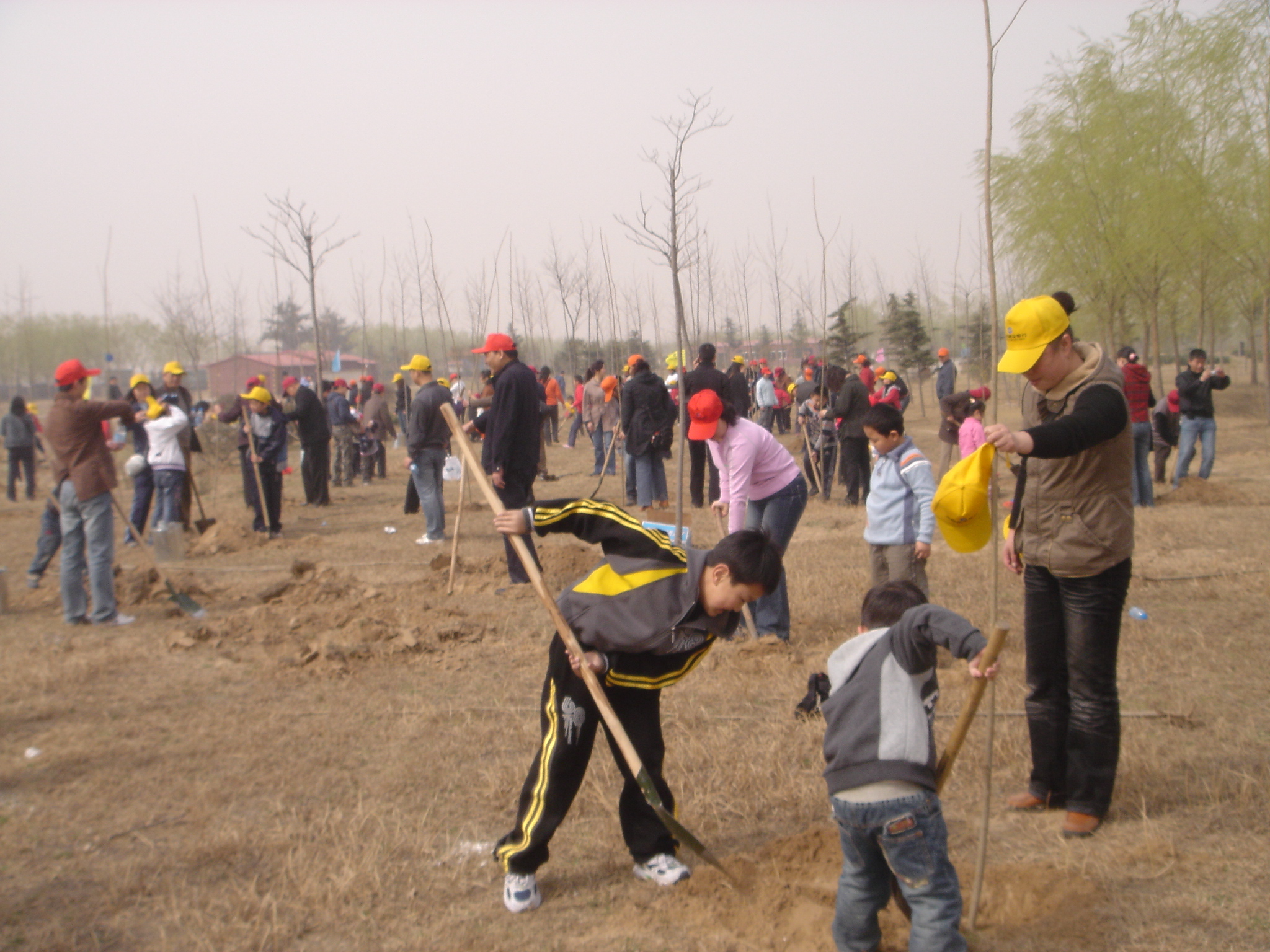 “保护郑州远离雾霾”春游踏青植树节活动图片