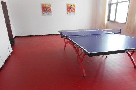 北京市网球地板 乒乓球塑胶地板厂家