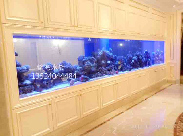 杭州玻璃观赏鱼缸工厂承接镶嵌式墙内水族箱