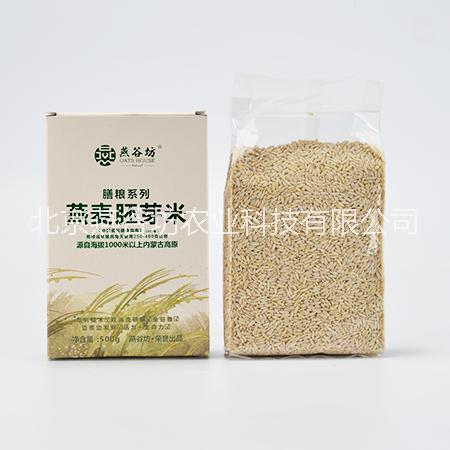 燕麦胚芽米厂家原始种植纯裸燕麦胚芽米一级图片