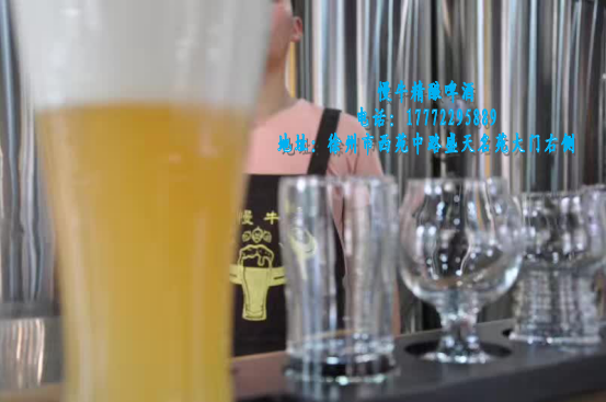 IPA-慢牛精酿啤酒图片