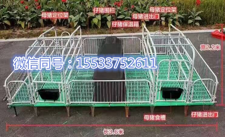 沧州泊头福临供应母猪产床自动上料批发