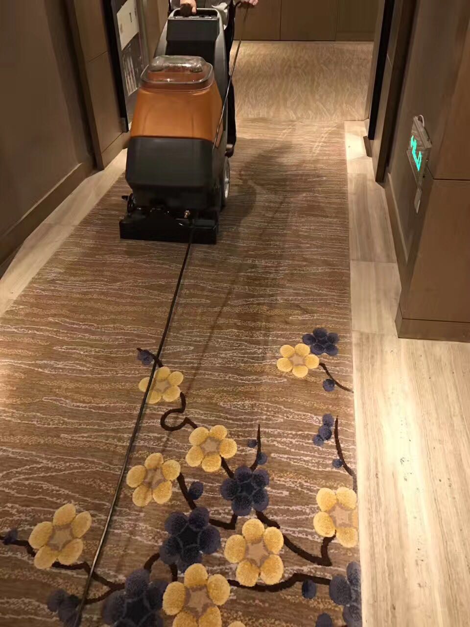 广州地毯清洗批发