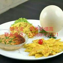 鸵鸟肉出售 上海鸵鸟蛋出售，鸵鸟肉