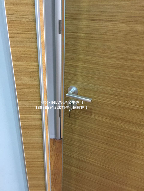 品铝PL12021型铝合金生态门时尚环保耐用图片